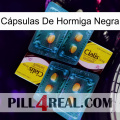 Cápsulas De Hormiga Negra cialis5